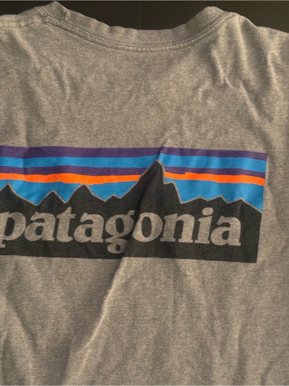 Patagonia Men’s Grey Graphic Logo Tee - Grey with Blue & Orange Stripes
